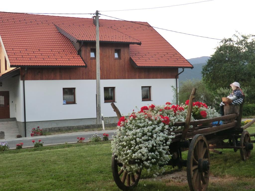 Ethno House Izvor Hotell Vrelo Koreničko Exteriör bild