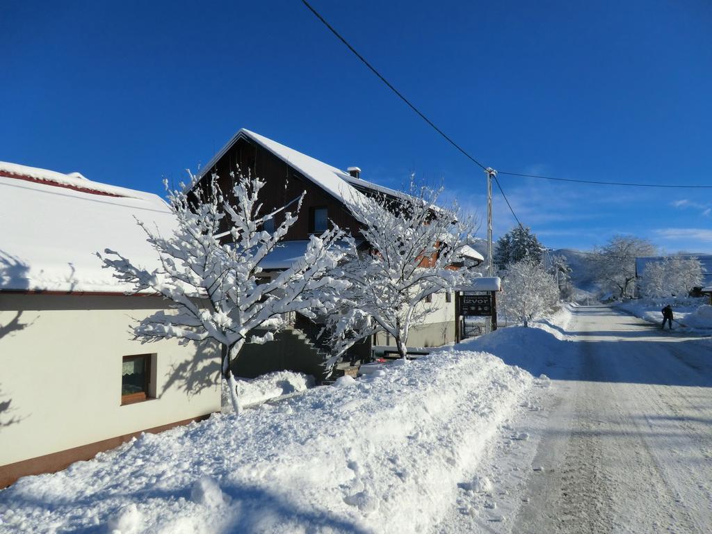 Ethno House Izvor Hotell Vrelo Koreničko Exteriör bild