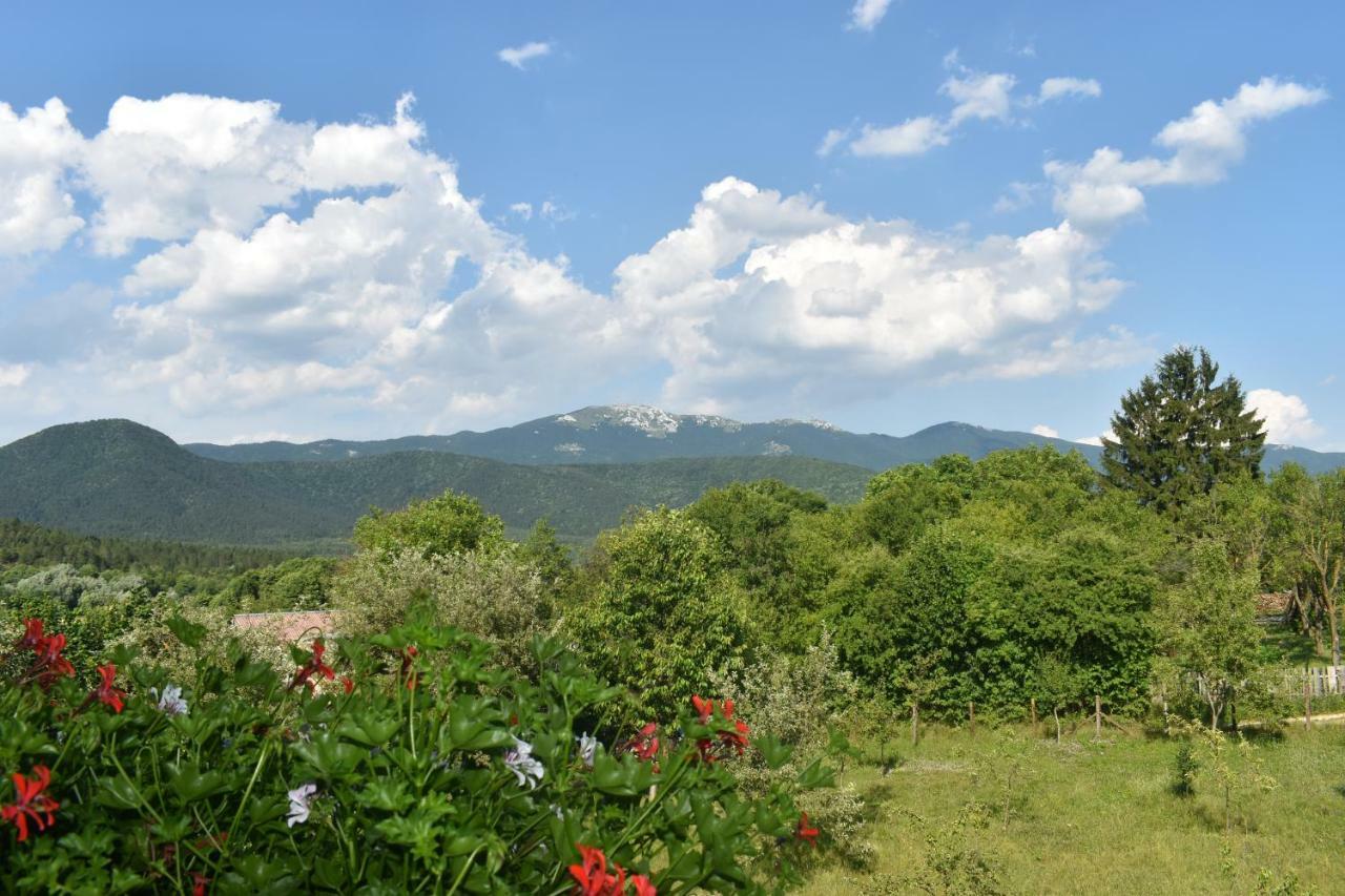 Ethno House Izvor Hotell Vrelo Koreničko Exteriör bild